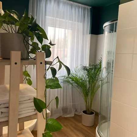 ホームステイ Szarotka カルパッチ